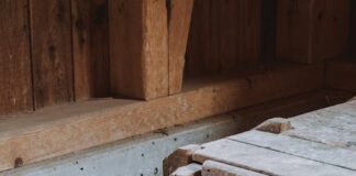 Actualización de los censos ganaderos