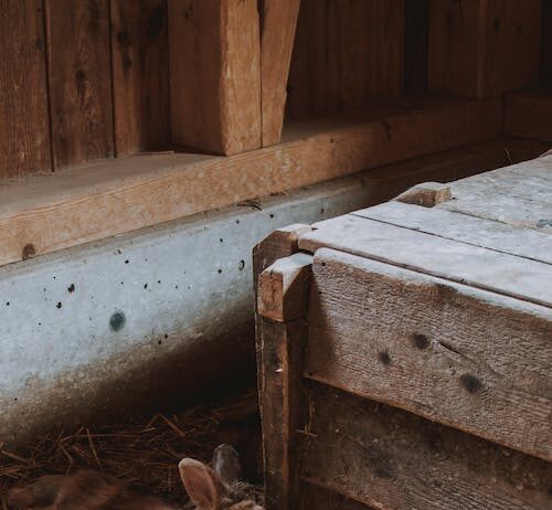 Actualización de los censos ganaderos