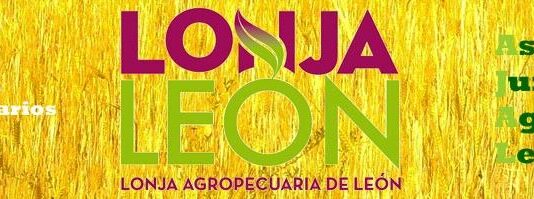 ASAJA pide el voto a los agricultores para garantizar la continuidad de la Lonja Agropecuaria