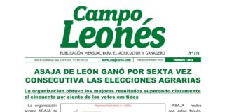 Campo leonés febrero 2023