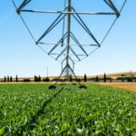 Modernizar el regadío