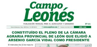 Campo leonés abril 2023