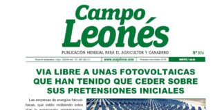 Campo leonés mayo 2023