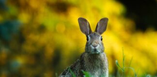 Las seis noticias agrarias de la semana – 05/12/2025