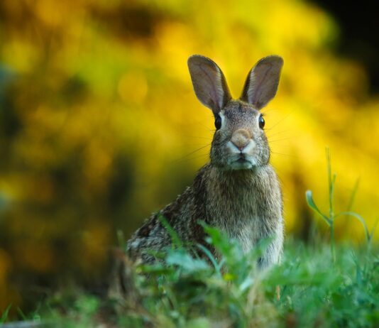 Las seis noticias agrarias de la semana – 05/12/2025