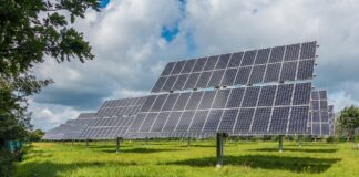 ASAJA está en contra del arranque de viñas y frutales para pones placas fotovoltaicas