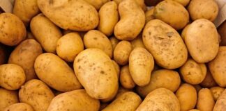 Las seis noticias agrarias de la semana – 13/12/2024