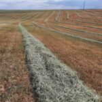 Labores que están permitidas en las fincas recolectadas