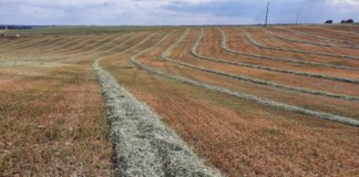 Labores que están permitidas en las fincas recolectadas