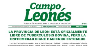 Campo leonés junio 2023