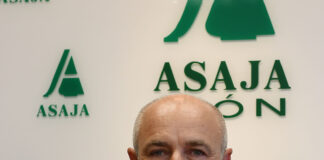 Asesorar a políticos