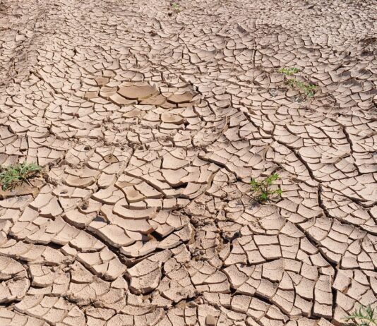 Circular ayuda sequía