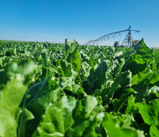 Las seis noticias agrarias de la semana – 22/03/2024