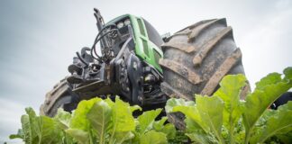 León se consolida como principal productora de remolacha de España, con 10041 hectáreas cultivadas