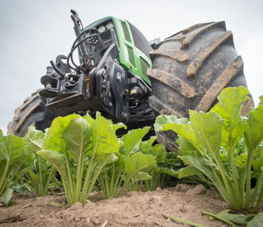 León se consolida como principal productora de remolacha de España, con 10041 hectáreas cultivadas
