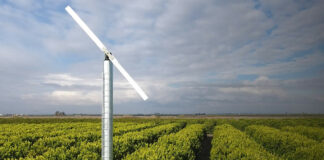 Las seis noticias agrarias de la semana – 11/08/2023