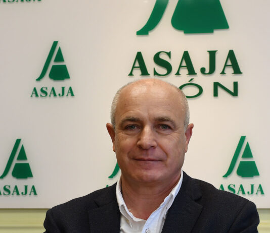 Régimen de dedicaciones