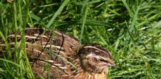 Las seis noticias de la semana – 05/07/2024