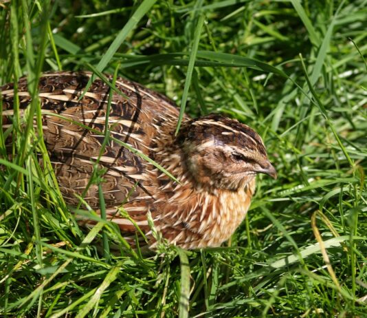 Las seis noticias de la semana – 05/07/2024