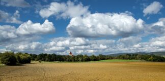 La Consejería de agricultura, ganadería y desarrollo rural convoca por 5,7 millones de euros las ayudas para la cooperación en la sucesión en las explotaciones agrarias de Castilla y León