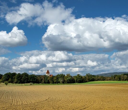 La Consejería de agricultura, ganadería y desarrollo rural convoca por 5,7 millones de euros las ayudas para la cooperación en la sucesión en las explotaciones agrarias de Castilla y León