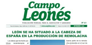 Campo Leonés septiembre 2023