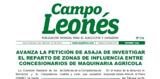 Campo leonés octubre 2023