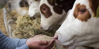 Las seis noticias agrarias de la semana – 20/10/2023