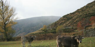 El “Plan de Balsas” de la Consejería de Agricultura, publicado hoy en el BOCYL, no contempla la realidad leonesa