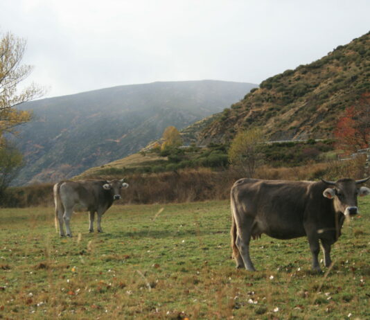 El “Plan de Balsas” de la Consejería de Agricultura, publicado hoy en el BOCYL, no contempla la realidad leonesa