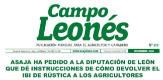 Campo leonés noviembre 2023