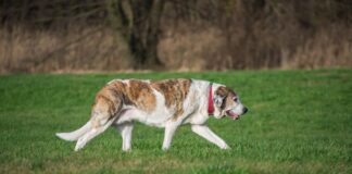 Las seis noticias agrarias de la semana – 24/11/2023