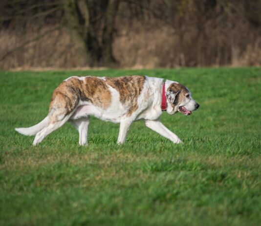 Las seis noticias agrarias de la semana – 24/11/2023