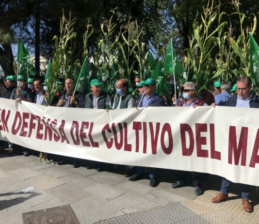 El 68% de la superficie de maíz de León lleva tres o más años del mismo cultivo y tiene que rotar