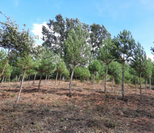 ASAJA es contraria a la modificación de la Ley Agraria de Castilla y León que impulsa el PSOE