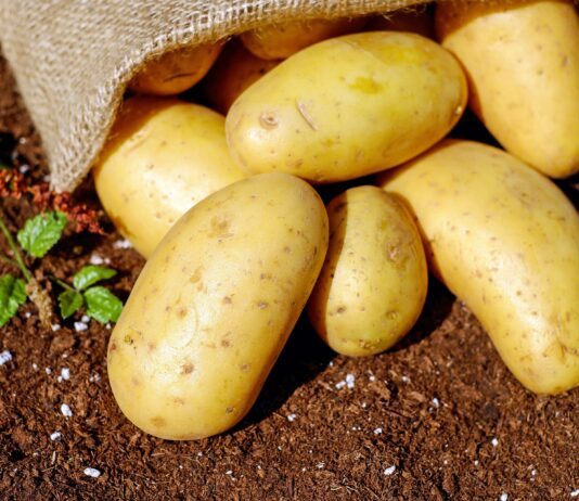 Las seis noticias agrarias de la semana – 09/01/2026