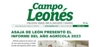 Campo leonés enero 2024
