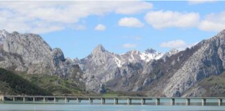 Las seis noticias agrarias de la semana – 26/01/2024