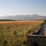 Llámenme aguafiestas