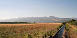 Llámenme aguafiestas