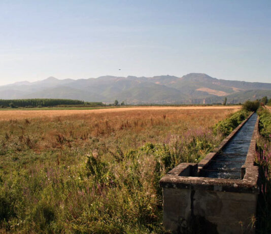 Llámenme aguafiestas