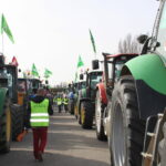 Convocatoria de movilizaciones León y Madrid