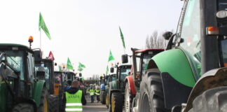 Convocatoria de movilizaciones León y Madrid