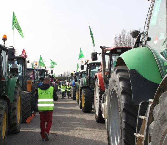 Convocatoria de movilizaciones León y Madrid