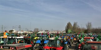 Manifestación del campo de León en puertas a la reunión de ministros de agricultura del próximo lunes día 26 en Bruselas