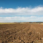 Circular informativa sobre la PAC: barbecho y rotación