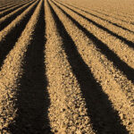 Circular importante sobre los barbechos