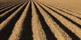Circular importante sobre los barbechos