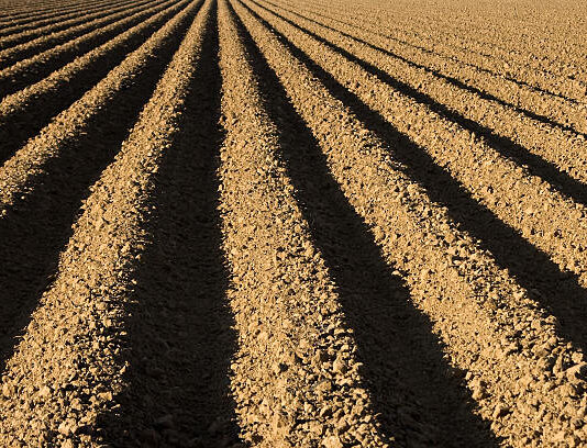 Circular importante sobre los barbechos