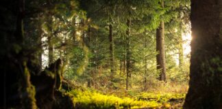 Los agricultores europeos lamentan la aprobación de la ley de restauración de la naturaleza